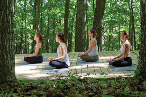 Find Your Wellness in Milwaukee