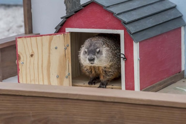 Groundhog Day Itinerary