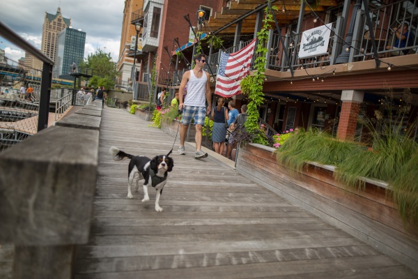 Riverwalk Man Walking Dog