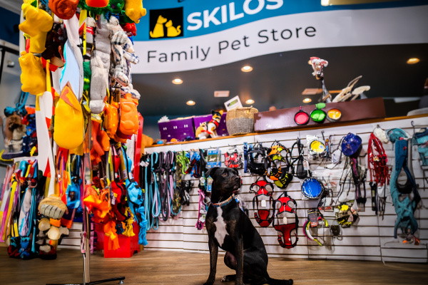 Pet-Friendly Itinerary