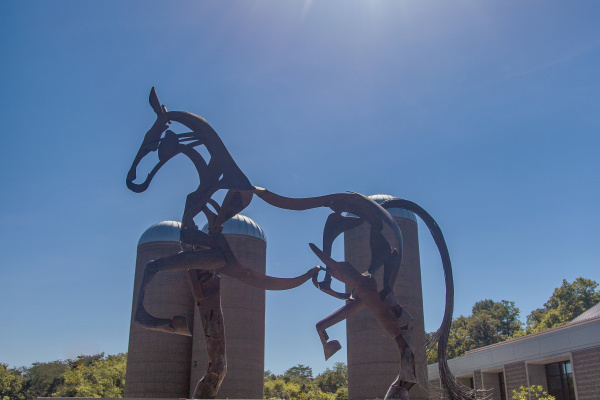 Sentinel-News: ShelbyKY Tourism Among Country's Top CVBs