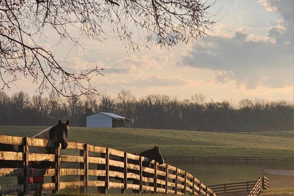 Whiskey Network: "Shelby County: A Day In Kentucky Bourbon Country"