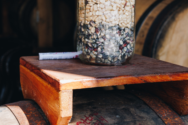 Modern South: Why Corn Is the Secret Ingredient to Kentucky’s Best Fall Adventures