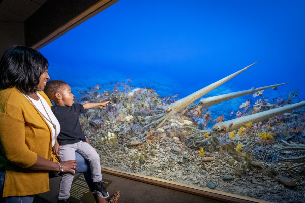 Milwaukee Public Museum