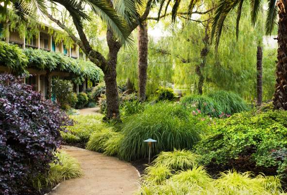 St. Patrick's Day Special - 15% Off