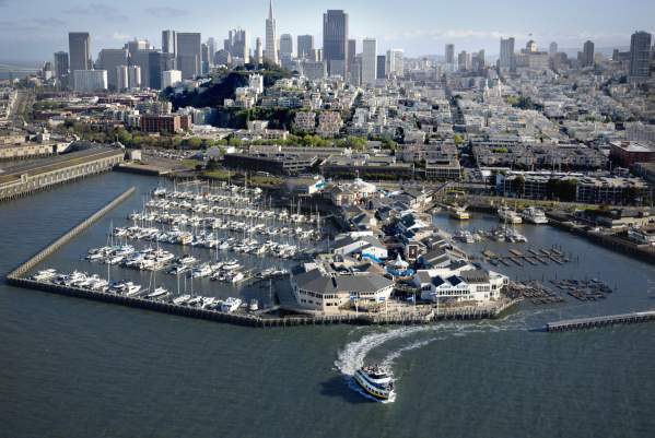 San Francisco's Pier 39 to celebrate famous sea lions this weekend - ABC7 San  Francisco