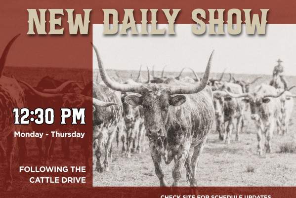 Legacy of the Longhorn 2