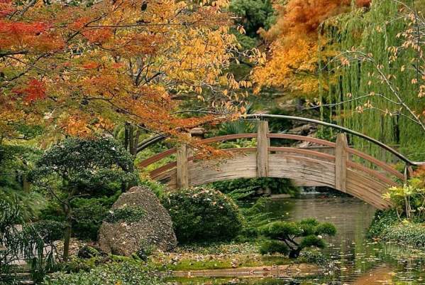 Where To Find Fall Foliage in Fort Worth