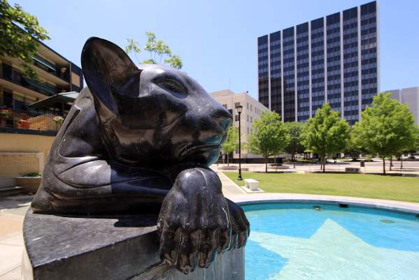 downtown panther