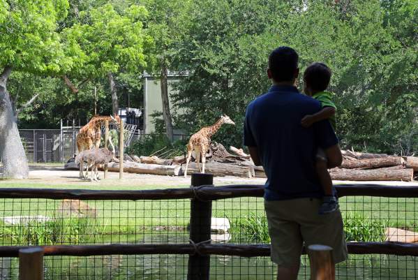 Fort Worth Zoo Family