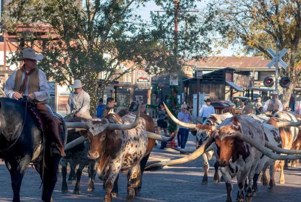 Drovers