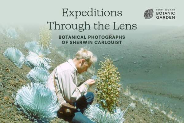 Exhibition — “Expeditions Through the Lens: Botanical Photographs of Sherwin Carlquist”