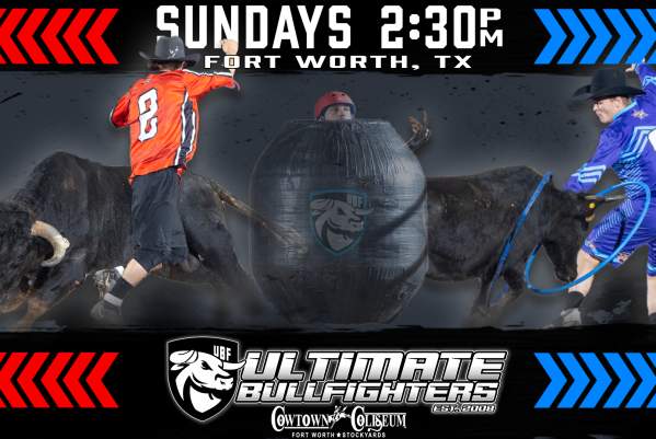 Ultimate Bullfighters