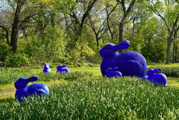 Cracking Art at the Fort Worth Botanic Garden