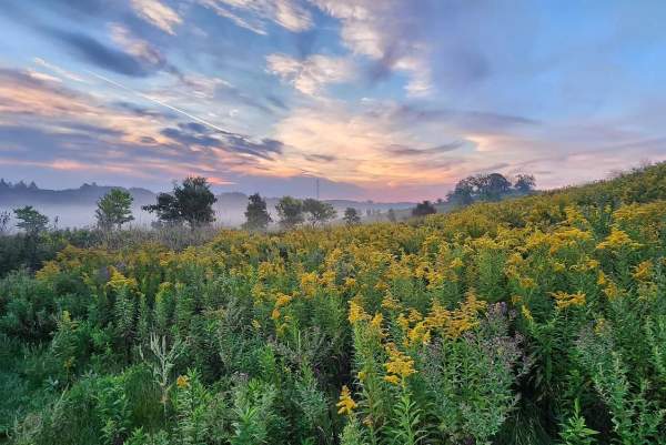Wauwatosa is an Eco-friendly Destination
