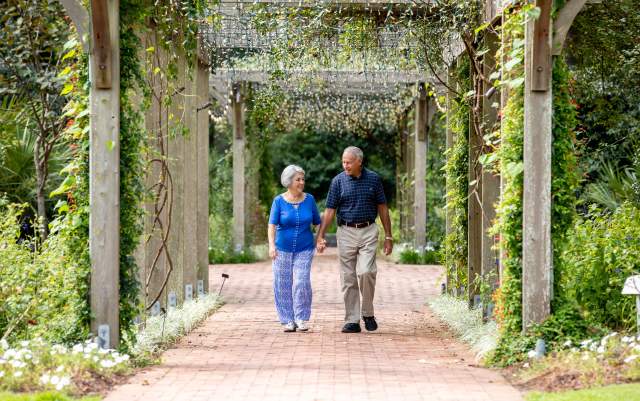 Couple walking together along a brick pathway beneath a vine-covered pergola in a botanical garden