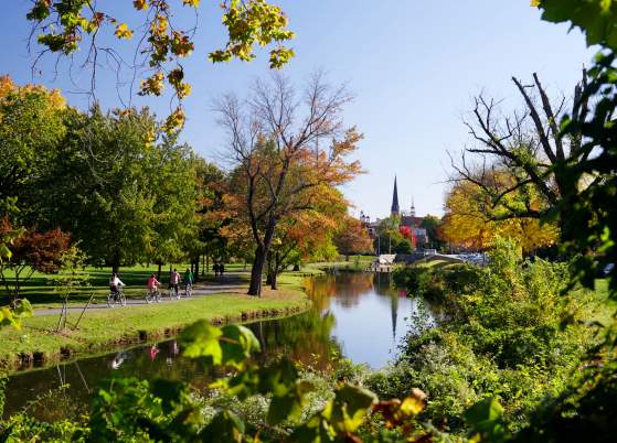 Top Places For Fall Foliage in Frederick County, MD