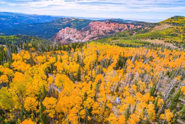 Cedar City Fall Scenic Drives