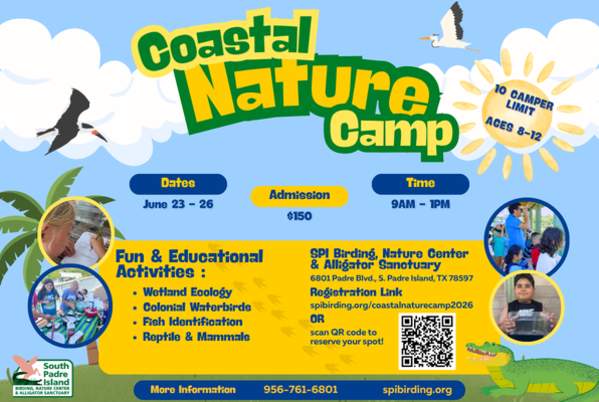 Coastal Nature Camp - Week Two