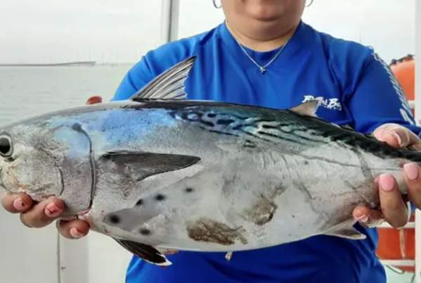Bay Fishing Charters