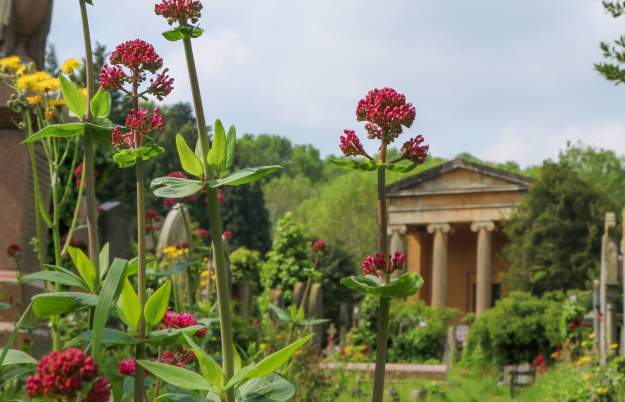 Best gardens to visit in and around Bristol