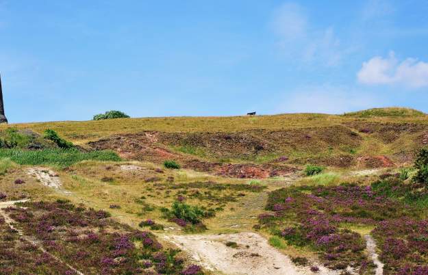 The local's guide: St George