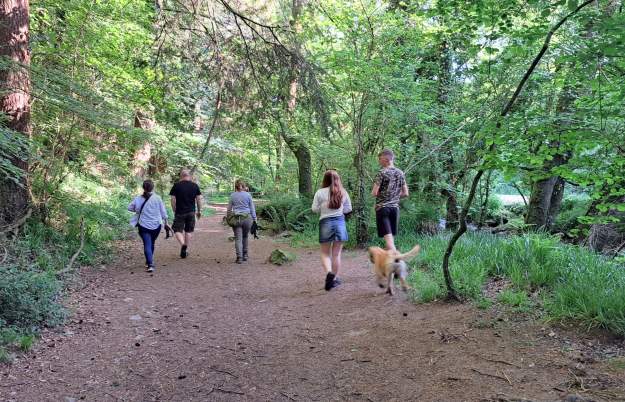 Five easy Bristol hikes