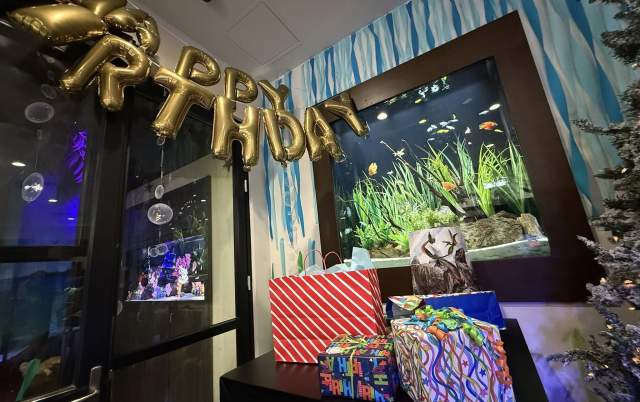 Top Winter Birthday Party Locations in Addison