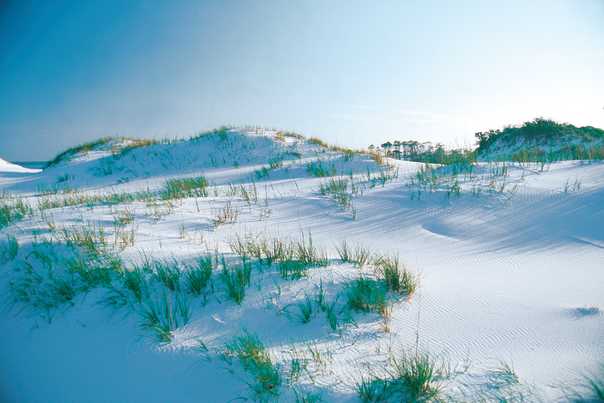 1195068463_vf_dunes2.jpg