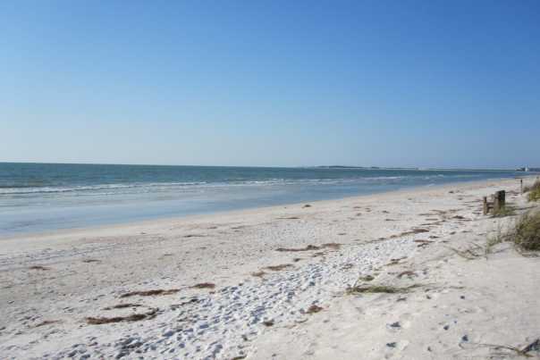 1270150702_img_0572.jpg