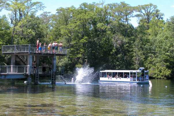 1311925172_wakulla-springs1_florida-department-of-environmental-protection.jpg