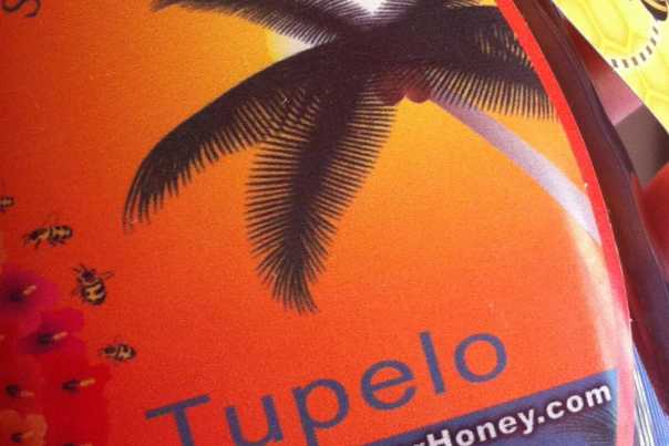 Florida tupelo honey