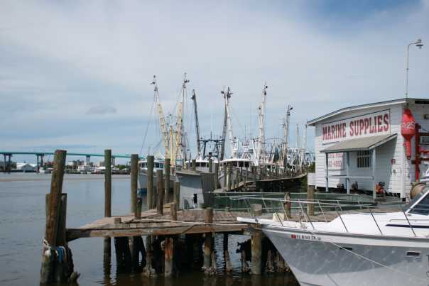 1355418024_fortmyers-shrimp_-_marina_photo.jpg