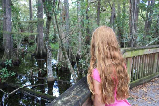 1aEverglades2_(c)%20Antje%20Gerstenecker.jpg