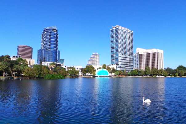 In the middle of downtown Orlando, Lake Eola is home to dozens of white and black swans.