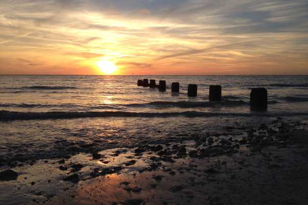 Don't miss the sunset at Honeymoon Island State Park.