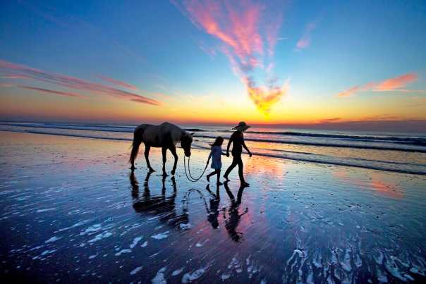 In the predawn light, the sky is streaked yellow, pink, and blue. A father and daughter walk their horse on wet sand beside the Atlantic Ocean.