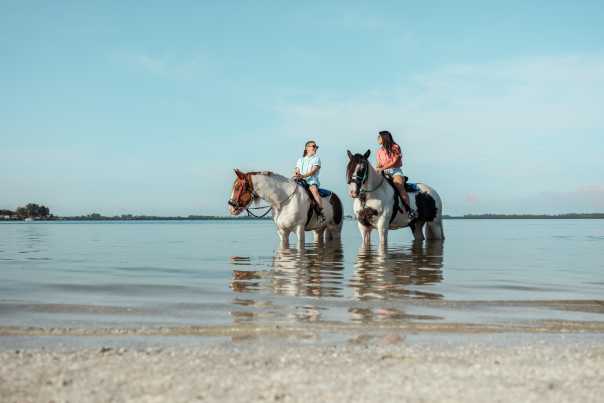Anna%20Maria%20Island%20-%20LGBTQ%20-%20Beach%20Horseback%20Riding%201%20-%202019%20(Spark).jpg