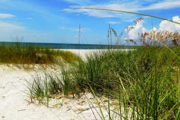 Barefoot_Beach_Naples_credit_Lauren_Tjaden%20%283%29.JPG