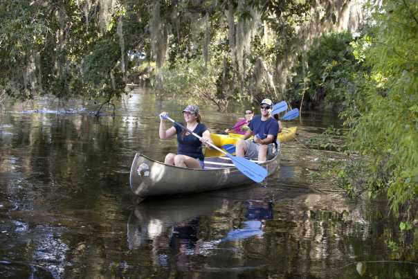 Enjoy a slice of real Florida by canoe, kayak or boat on the Peace River Paddling Trail, a serene trek from Bartow to Arcadia.