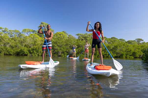 couple on stand-up paddleboards, Charlotte County