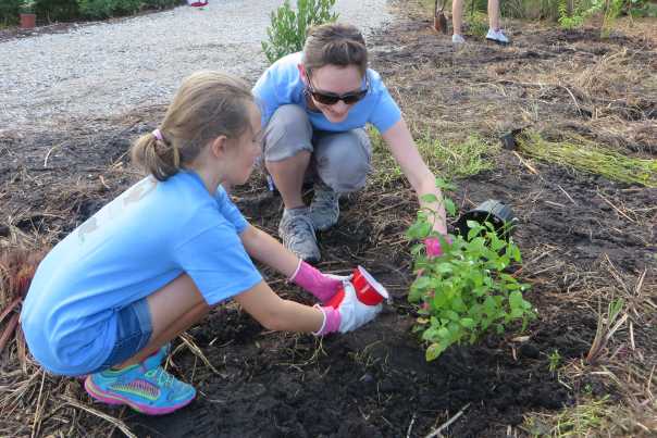 GrassyPointplanting.JPG