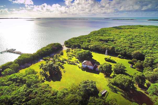 The virgin tropical hardwood hammock that thrives on Lignumvitae Key was once common on most of Florida's Upper Keys; most of these forests have been lost to development on other islands.