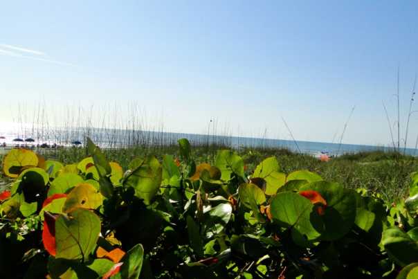 cocoa_beach_area_beaches_credit_lauren_tjaden%20%283%29.JPG