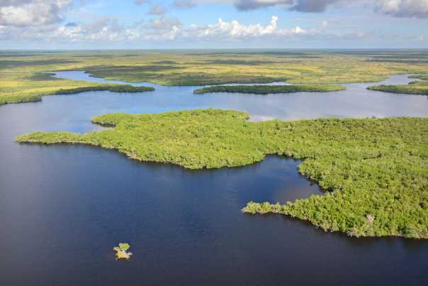 Everglades National Park, Fl. -- Tarpon Bay, looking West towards Florida Bay.