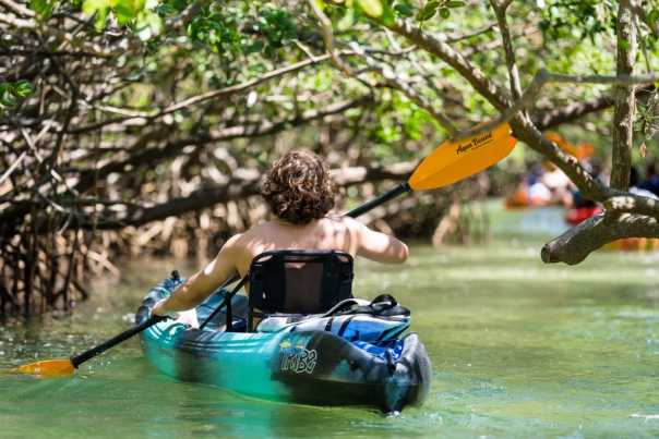 Kayaker in mangroves, Lido Key
