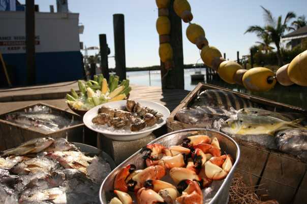 sarasota-dining-photo-star-fish1.JPG