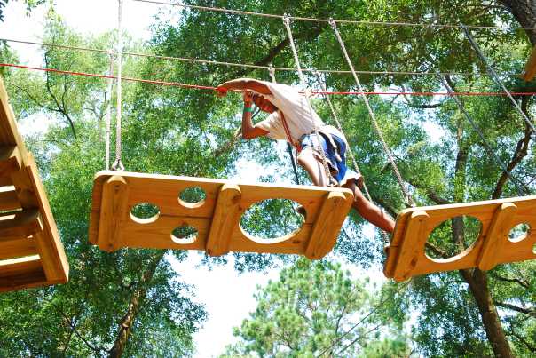 tallahassee-museum-zipline-obstacle-course_Visit_Tallahassee.jpg