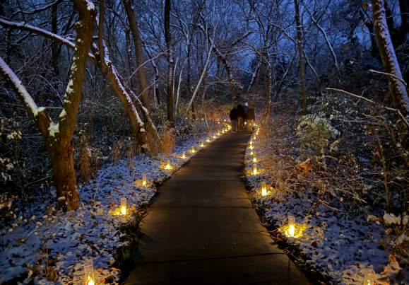 A sidewalk is lined with candles that glow softly against a light dusting of freshly fallen snow.
