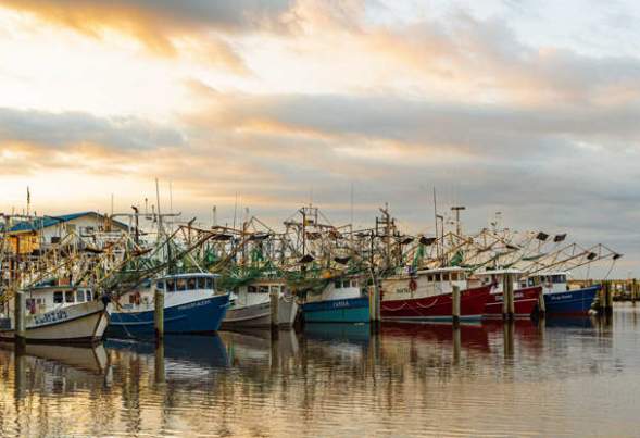 The USA's best places to visit in 2022 - Shrimp Boats at the Dock